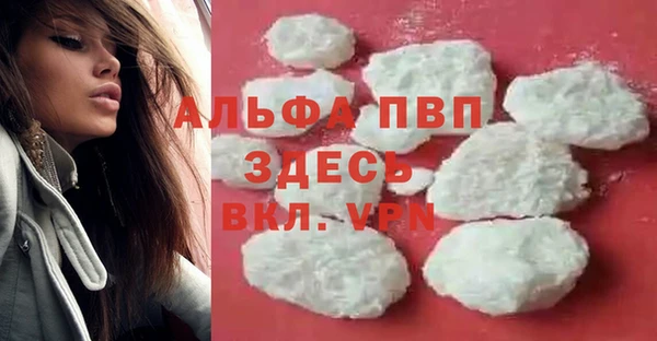 эйфоретик Надым